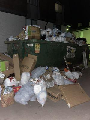 Overflowing dumpster that they didn't take out