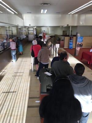 Always long lines at this branch. Nearly out the door. Two tellers is typical at this branch.