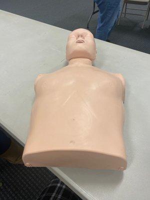 Cpr dummy