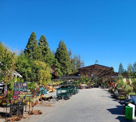 Pritchett's Nursery Healdsburg.