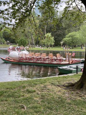 For less than $5 Board the Pedal Powered Swan Boats, cruise & view the Gardens, Skyline & island where Make Way for Ducklings live Boston