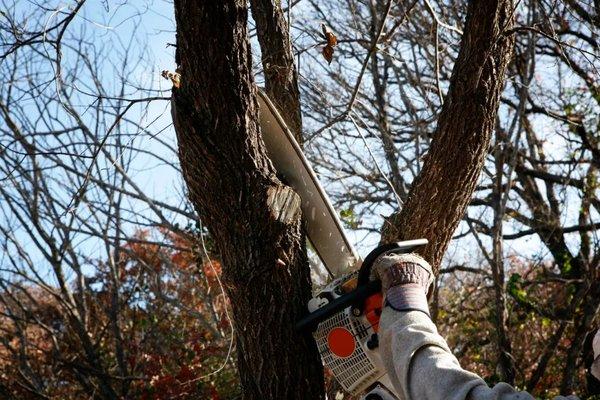 Leaf Life Tree Service