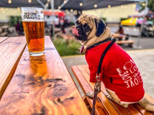 A nice Beer on a sunny day