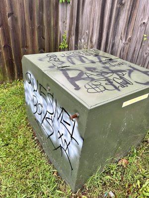 Profanity/spray paint