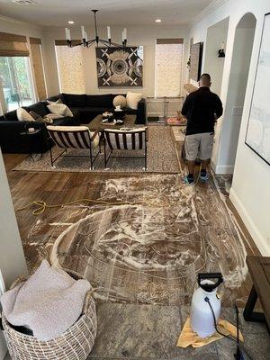 Hardwood Floor Cleaning