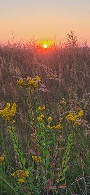 Park sunset