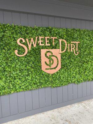 The Sweet Dirt greenery selfie wall in Portland, Maine