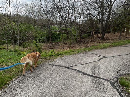 Black Hoof Park trailhead