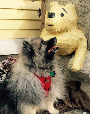 Stuck in Rabbit's hole, Winnie the Pooh gets a visit in the Barrow Bookstore Character Garden.