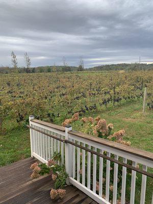 Sitting on the deck at The Hopewell Valley Vineyard