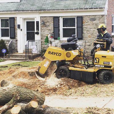 Stump grinding