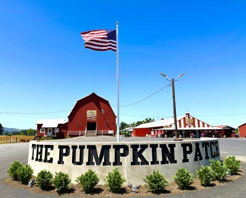 The Original Pumpkin Patch located on the beautiful Sauvie Island. Open Daily. Farming over 1,500 acres & growing over 55+ crops every year.