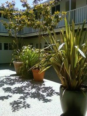 Our building's courtyard.