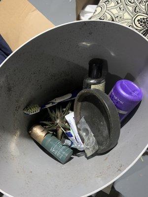 A plant thrown in a garbage can along with my face cream and toothbrush.