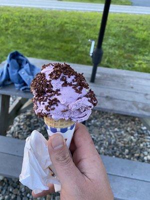 Blueberry ice cream with chocolate sprinkles