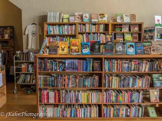 bookshelves everywhere