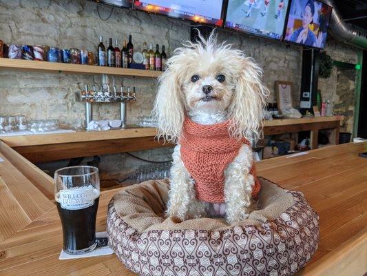 Fido Friendly Brewery in Holton, KS