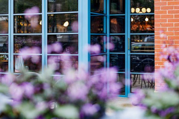 Le Midi storefront and lavender flower boxes on the patio