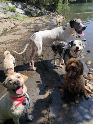 Pack Adventure at Lake Roland