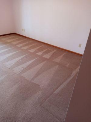 Oxi Fresh Carpet Cleaning