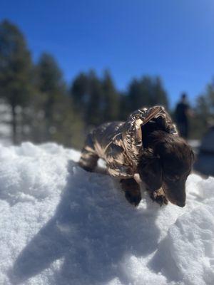 She was happy to be in the snow after she got this cute outfit!