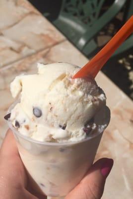 holy cannoli gelato