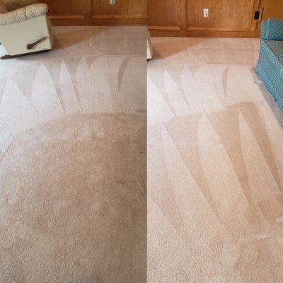 Carpet Cleaning Before and After by Citrus Advanced