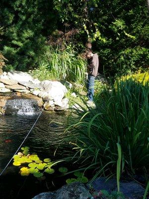 Westerly, pond side, admiring our work after a nice spring cleaning!