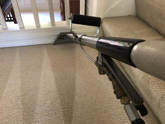 Carpet Cleaning, Upholstery Cleaning, Pet Odor removal, Stain Removal and much more!