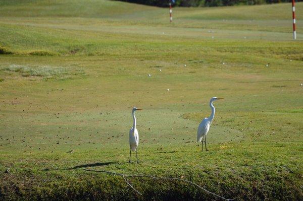 Some visitors watching me learn how to play.