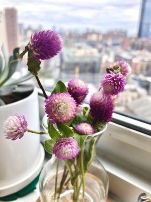 Flowers from Luna Family Farm on Saturdays