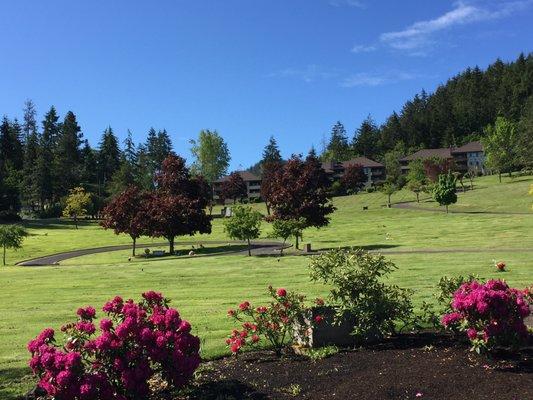 Sunset Hills Cemetery, view looking south from funeral home