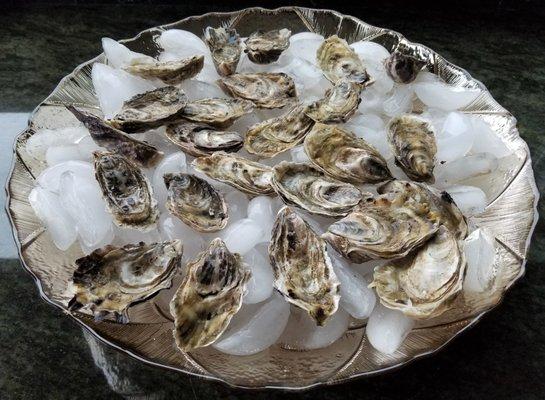 2 Dozens of "Oyster Shooters" before shucking