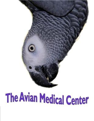 Oregon's Only Bird Only Veterinary Clinic!