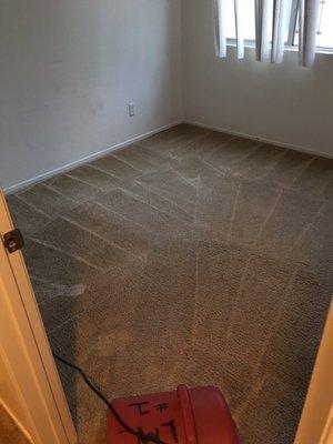 Pee and poop covered the carpeting in this room....I still can't believe it. Wish I took a before shot but wasn't thinking