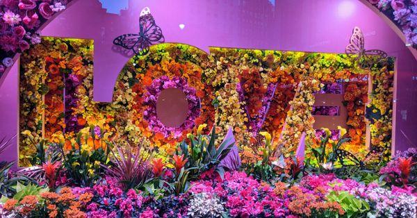 Beautiful Flower Show Display (Spring 2021)