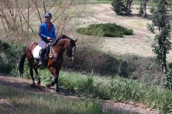 David Adamo and "Rock Star" enjoying the beautiful trails at Hawkwood.