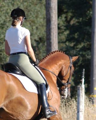 Classical Hoofbeats Dressage