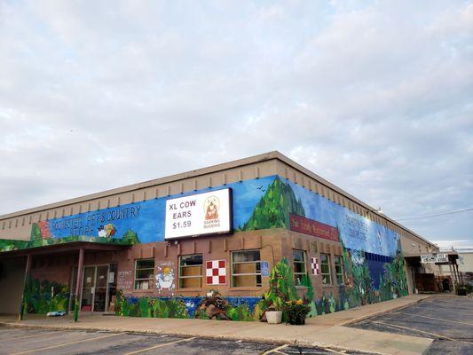 Rochester Pet And Country Store