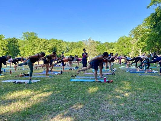 Join us for FREE yoga every summer in Wilcox Park!