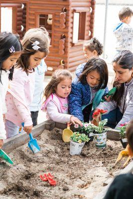 Gardening!