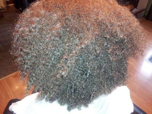 Natural Hair before Amino Acid treatment