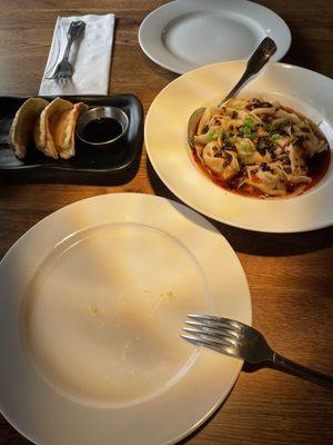 Wonton with chili oil and Fried Dumplings