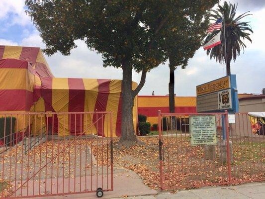 Fumigation for Lynwood School District