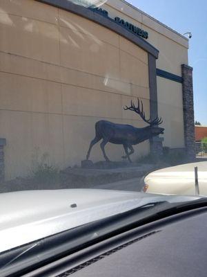 Bronze Elk out front.