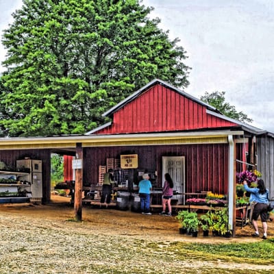 Apple Farms farm stand