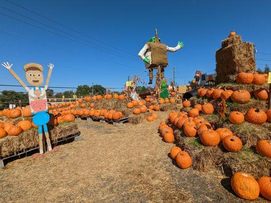 Meadows Farms Nurseries and Landscape