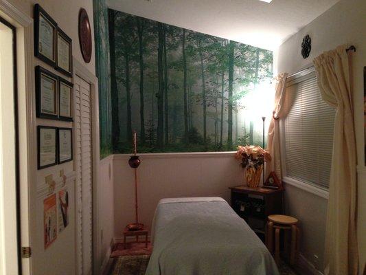 ChayaVeda Integrative Healing Arts Studio