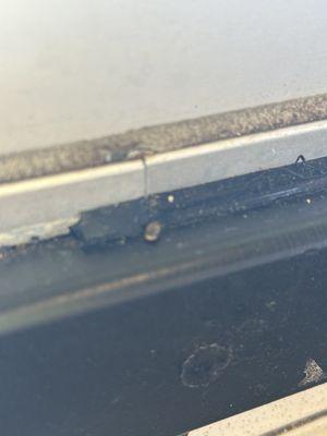 Dead bug on window ledge next to table