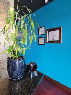 The Joint Chiropractic